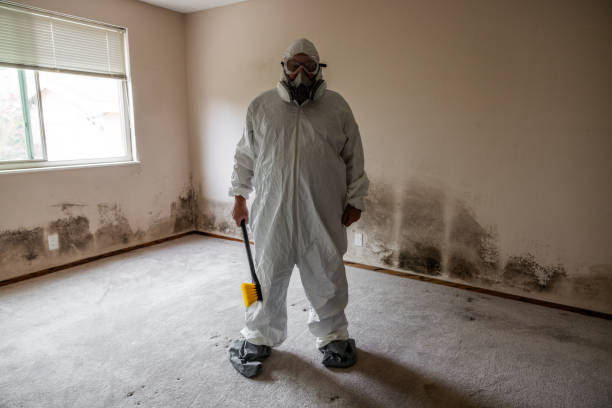 Best Mold Removal Near Me  in Nellysford, VA